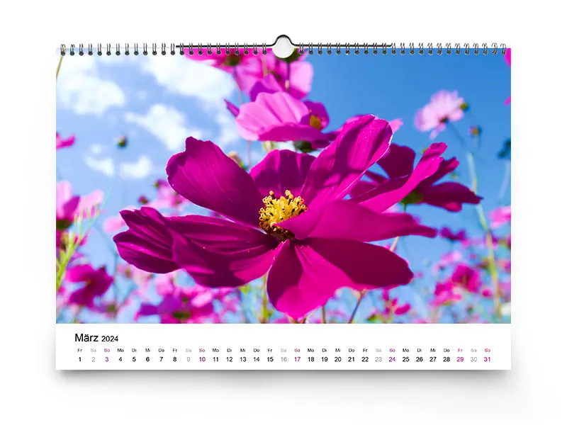 Sie bestimmen, wie Ihr Fotokalender aussehen soll: Wählen Sie zwischen Kalendariendesigns, Sprache oder Startmonat. Monatskalender frei gestaltbar: Farben, Kalendarium, Startmonat und vieles mehr.