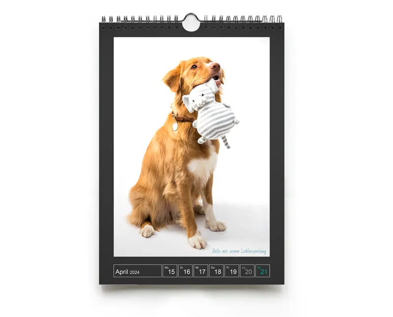 Den Wockenkalender für die Wand gibt es von Din A5 bis Din A3 - für jedes Zimmer das richtige Format. Der Wochenkalender ist in verschiedenen Formaten erhältlich.